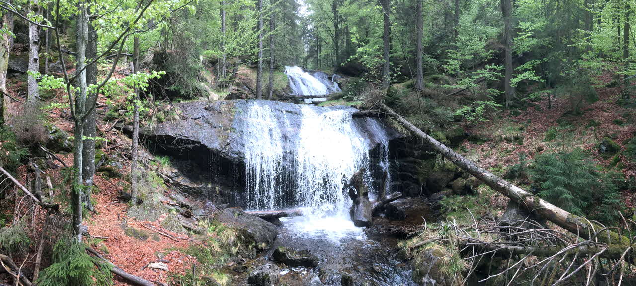 Bodenmais Rissloch Wasserfälle KUCHL IMG_2592